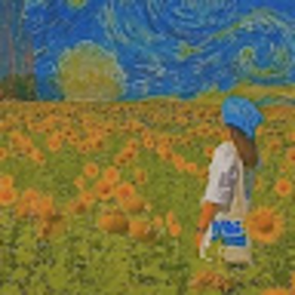 Meet your Posher, Zari